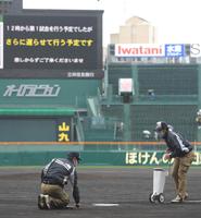 第一試合の試合開始に向け、整備を行う阪神園芸スタッフ（撮影・伊藤笙子）