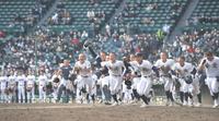 木更津総合にサヨナラ勝ちし、アルプスに駆け出す金光大阪ナイン＝甲子園（撮影・高部洋祐）