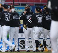 　開幕６連勝しナインとタッチを交わす藤本監督（中央）＝撮影・開出牧