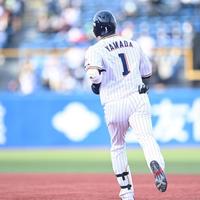 ６回、通算２５０号となる勝ち越しソロを放ちゆっくりとダイヤモンドを走る山田（撮影・高石航平）