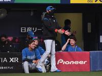 敗戦が決まった直後の新庄剛志ビッグボス（撮影・石井剣太郎）