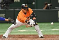 　４回、バントを成功させた中田（撮影・伊藤笙子）