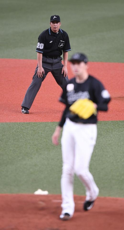 　審判をつとめる白井審判員（奥）＝撮影・石井剣太郎