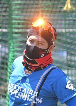 　試合前、ナインの練習を見守る新庄ビッグボス（撮影・高部洋祐）