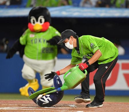 　つば九郎が空中くるりんぱで放り投げたヘルメットが風に飛ばされ、グラウンドキーパーに直撃！（撮影・伊藤笙子）