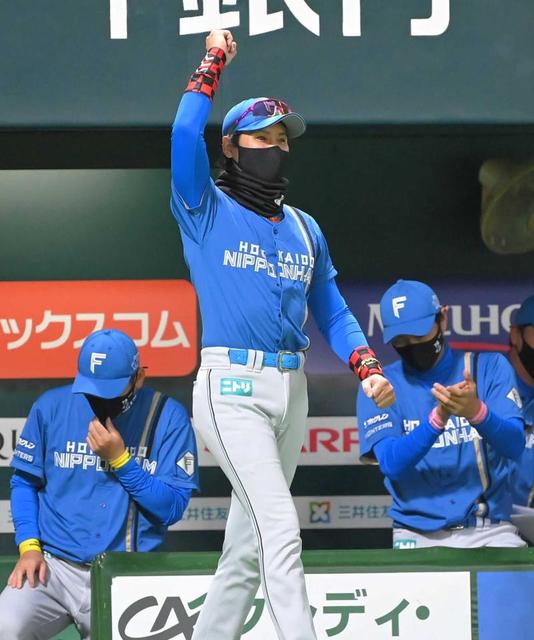 てんてん出品　花咲徳栄　グラコン 花咲徳栄 硬式野球 グランドコート