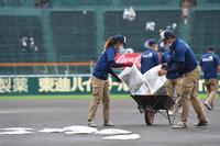 グラウンド整備を行う阪神園芸のスタッフ（撮影・伊藤笙子）