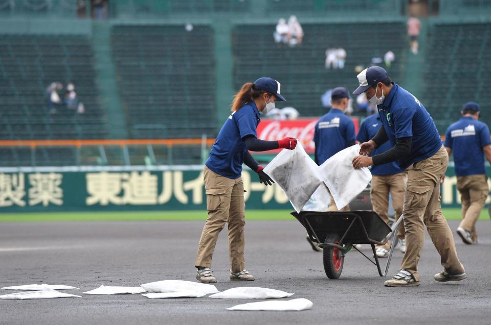 グラウンド整備を行う阪神園芸のスタッフ（撮影・伊藤笙子）