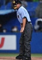 　３回、ボールが当った足に手をやり痛みに耐える森球審（撮影・開出牧）