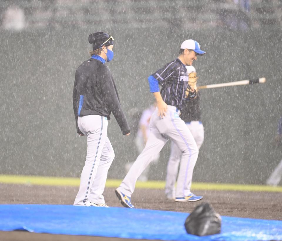 　大雨が降りベンチに戻る新庄ビッグボスら日本ハムナイン（撮影・高石航平）