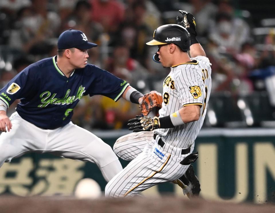 　６回、三塁打を放ちすべり込む佐藤輝。左は村上（撮影・田中太一）