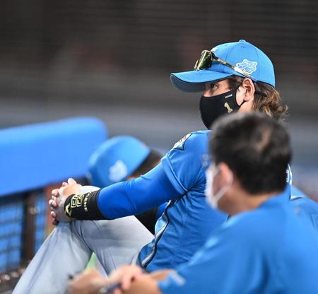 　膝を抱えながら試合を見つめる日本ハム・新庄ビッグボス＝ＺＯＺＯマリンスタジアム（撮影・高石航平）