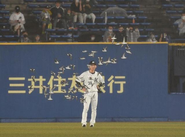 【写真】ほとんど鳥使いの魔術師　襲来した鳥に囲まれるロッテ選手