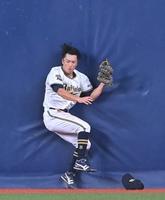 　２回、甲斐の打球を好捕し、フェンスに激突する福田（撮影・高部洋祐）