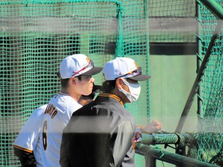 　打撃練習の合間に原監督（奥）、亀井コーチ（手前）と会話する坂本（中央）