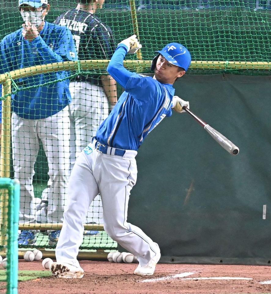 　豪快なフォームで打撃練習をする加藤豪（撮影・高石航平）