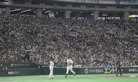 　６回、村上がソロを放ち盛り上がる三塁側のスタンド（撮影・堀内翔）