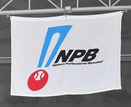 NPB旗