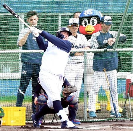　ランチ特打で快音を連発する村上（撮影・佐藤厚）