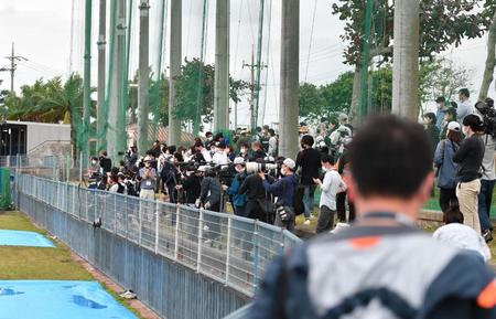 　沢村がキャンプに合流し、大勢の報道陣とファンがスタンドに詰めかけた（撮影・開出牧）