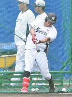 　フリー打撃で快音を響かせる佐藤都（撮影・開出牧）