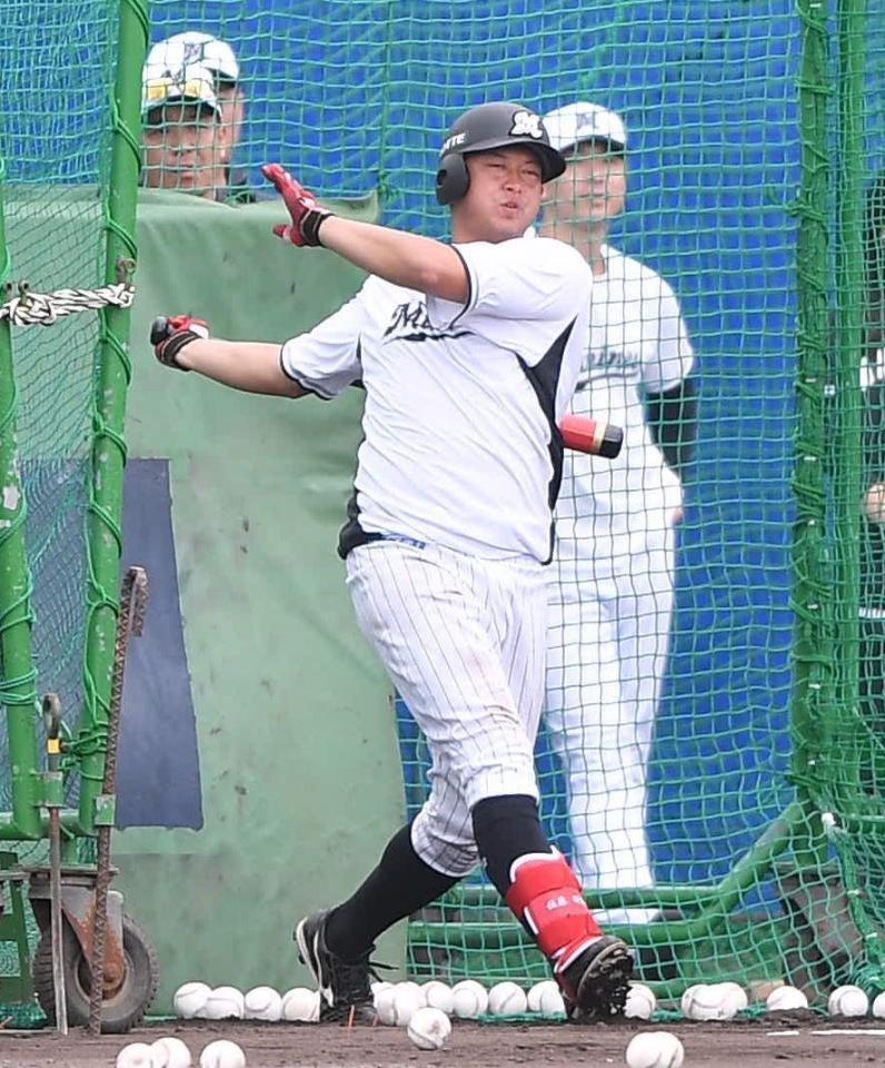 　フリー打撃で快音を響かせる佐藤都（撮影・開出牧）