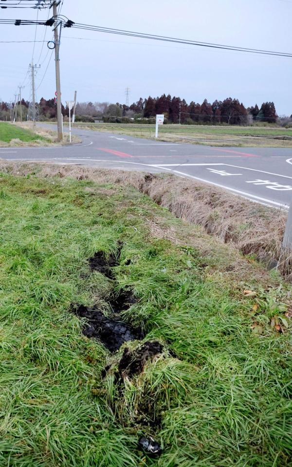 　入来智さんが交通事故に遭った交差点＝11日午後５時59分、宮崎県都城市