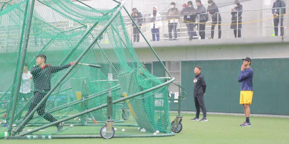 　岡本和（左）の打撃練習を見守るダルビッシュ（右）＝撮影・吉澤敬太