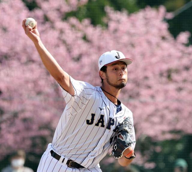 ハムファン胸熱！ダルビッシュのキャッチボール相手役は鶴岡慎也氏　オリ山本、阪神湯浅らも熱視線