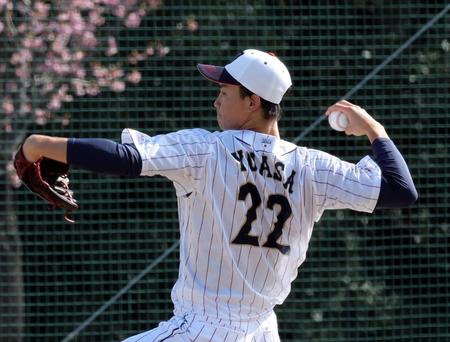 　キャッチボールする湯浅（撮影・山口登）