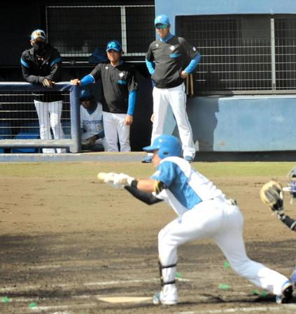 　ベンチで戦況を見つめる新庄監督（左）。手前はバントする伏見