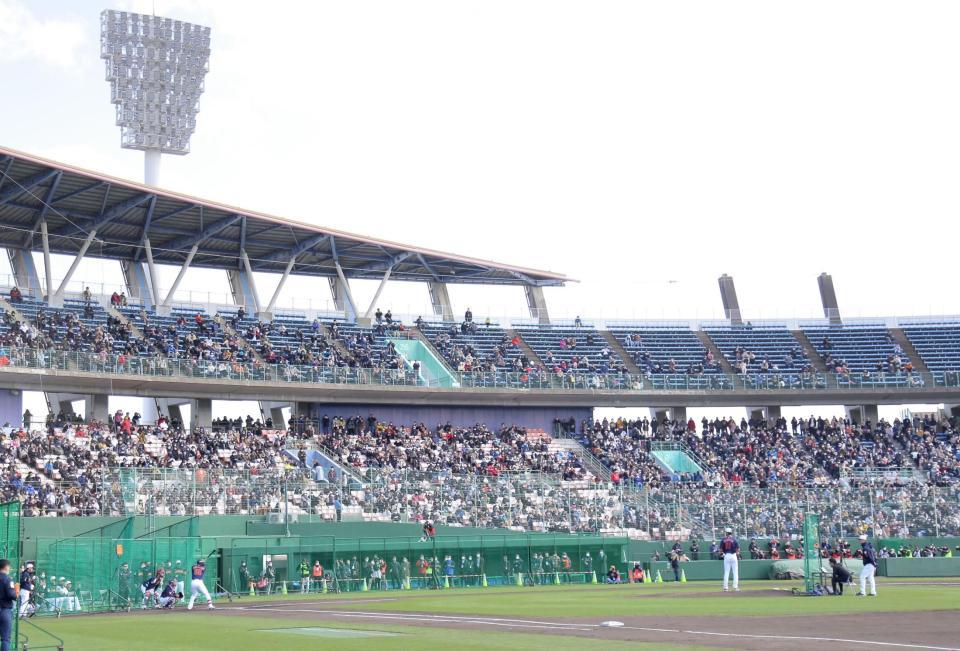 　ダルビッシュ（１１）と村上（５５）の対決を見つめる大勢の観客（撮影・吉澤敬太）