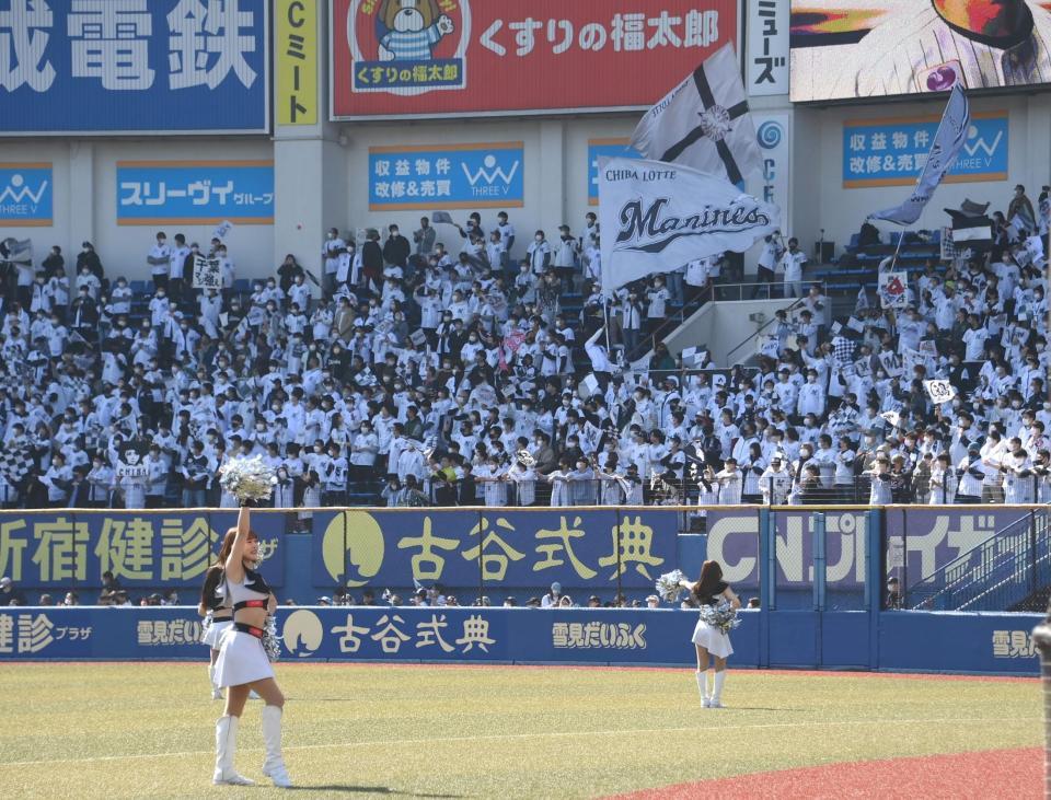 　試合前に声援を送るロッテファン（撮影・堀内翔）