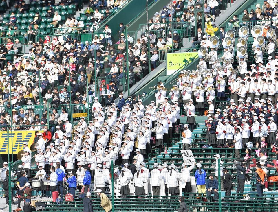 　三塁側アルプススタンドで演奏する大阪桐蔭吹奏楽部（撮影・伊藤笙子）