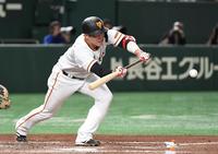 　７回、坂本は投前に送りバントを決める（撮影・佐藤厚）