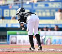 　６回、宮城から死球を受けた山口（撮影・開出牧）