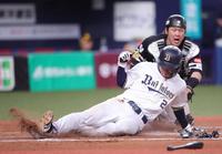 　６回、代打・福田の左犠飛で三塁走者・若月が生還（捕手・甲斐）＝撮影・坂部計介