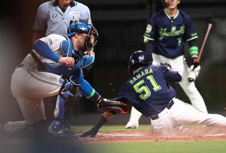 　４回、中村の安打で本塁を狙うもアウトになる二走・浜田（撮影・中島達哉）