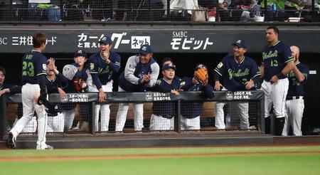 　１回、青木（左端）を迎えるヤクルトナイン（撮影・中島達哉）