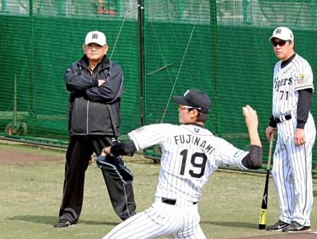 　阪神・藤浪の投球をじっと見つめる江夏臨時コーチと中西コーチ＝宜野座