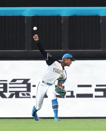 　２回、頓宮の打球を捕球し、三塁へ送球する万波（撮影・中島達哉）