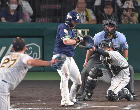 　７回、死球を受ける長岡（撮影・立川洋一郎）