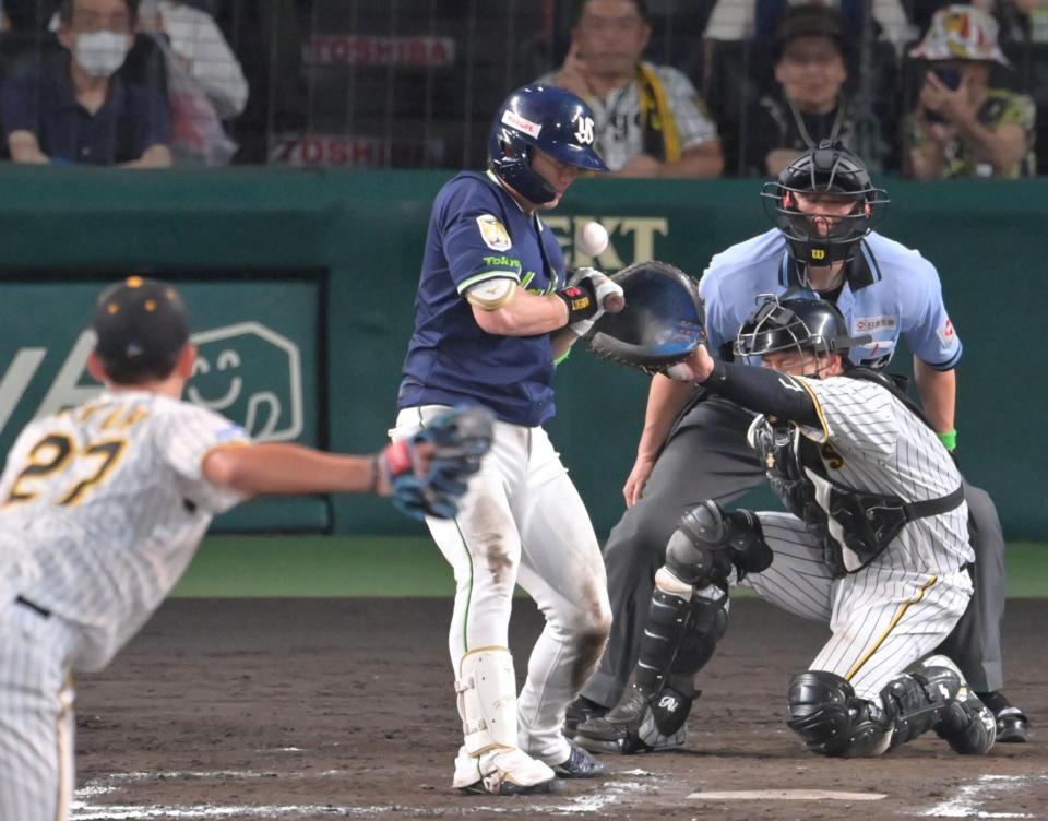 　７回、死球を受ける長岡（撮影・立川洋一郎）