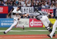 　８回、紅林の捕ゴロで三走・中川圭は本塁を狙うもアウトになる（撮影・山口登）