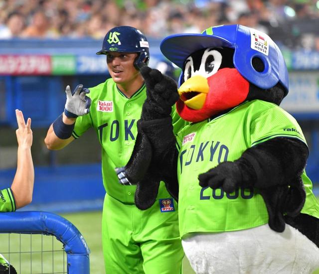 ヤクルト ハタケヤマ 野球 軟式用 ファーストミット 一塁手用 ヤクルト