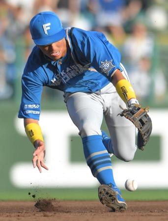 　５回、野口のゴロをファンブルする山田（撮影・北村雅宏）