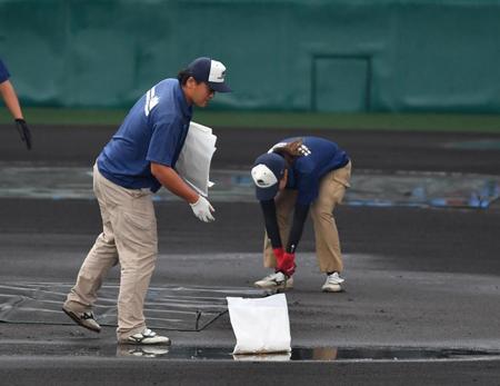 　マウンド回りの水を排除する阪神園芸（撮影・中田匡峻）