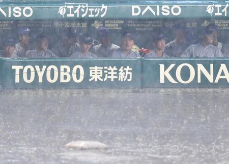 　土砂降りのグラウンドを見つめる花巻東・佐々木麟太郎（右から３人目）＝撮影・中田匡峻