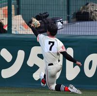 　６回、専大松戸・清水の打球を好捕した左翼手の土浦日大・太刀川幸輝（撮影・中田匡峻）