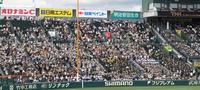 　試合前、盛り上がる仙台育英応援団＝２３日